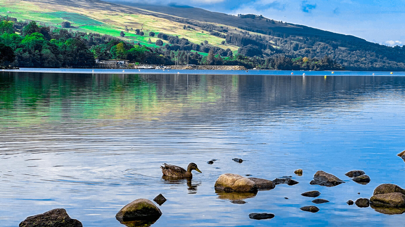 Loch Tay | 2023 | Scotland, UK