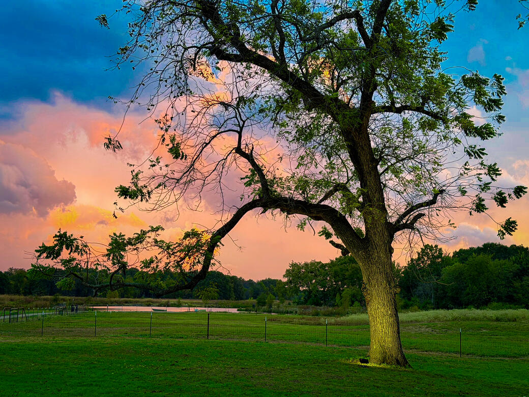 Texas Country Sunsets | 2025 | Telephone, TX